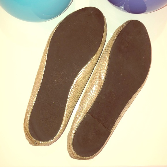 Silver Flats - Picture 6 of 6